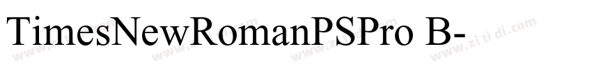 TimesNewRomanPSPro B字体转换